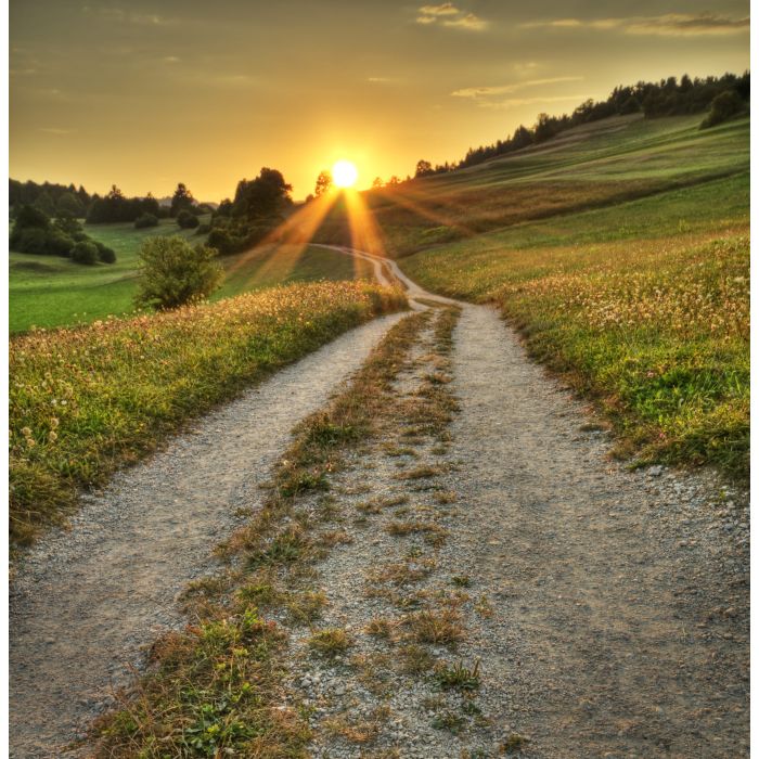 Idyllic sunset on dusty road in countryside - ID # 37271320